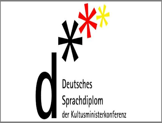 logotyp programu dsd