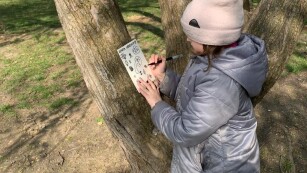 dziewczynka opiera się o drzewo i zapisuje na kartce obserwacje przyrodnicze