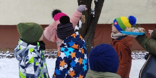 uczniowie podczas spaceru zawieszają na drzewie kule tłuszczowe dla ptaków