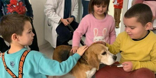 uczniowie głaszczący psa w czasie wizyty w Klinice Weterynarii w Lublinie
